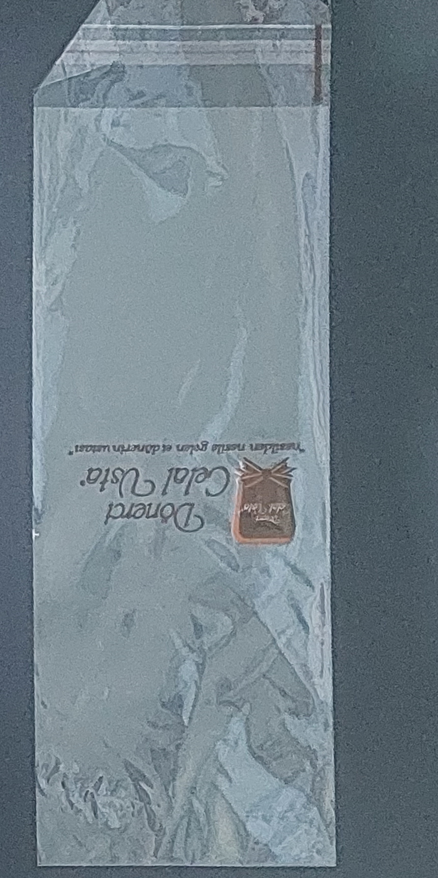 BASKILI BANTLI ŞEFFAF POŞET -BASKILI JELATİN POŞET